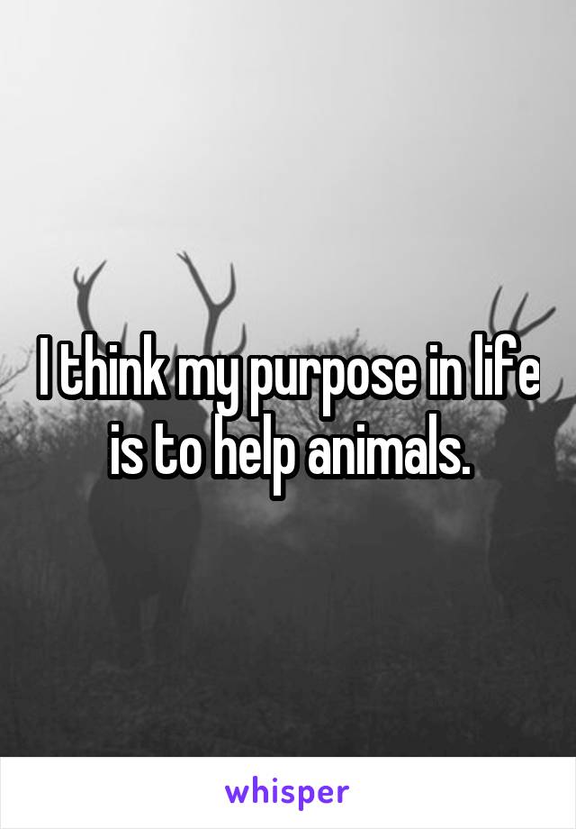 I think my purpose in life is to help animals.