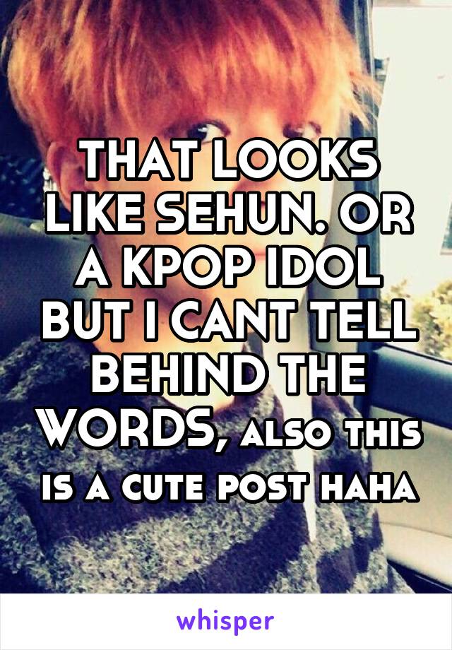 THAT LOOKS LIKE SEHUN. OR A KPOP IDOL BUT I CANT TELL BEHIND THE WORDS, also this is a cute post haha