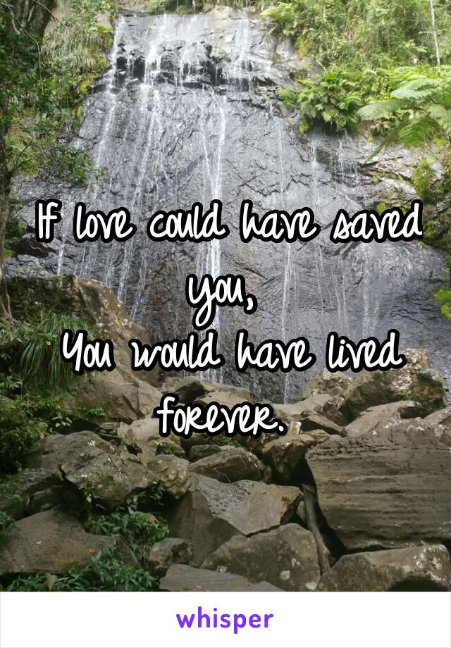 If love could have saved you, 
You would have lived forever. 