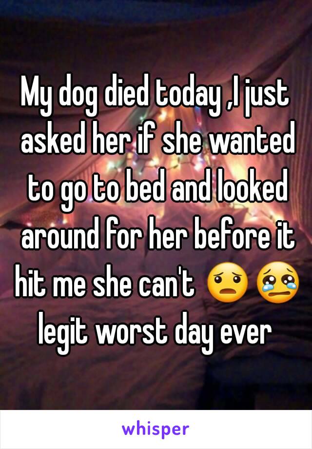 My dog died today ,I just asked her if she wanted to go to bed and looked around for her before it hit me she can't 😦😢 legit worst day ever 