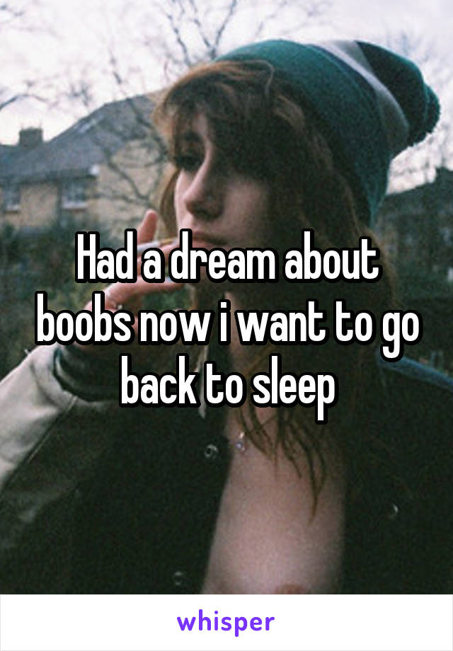 Had a dream about boobs now i want to go back to sleep