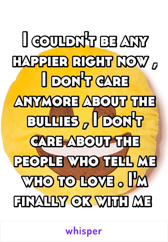 I couldn't be any happier right now , I don't care anymore about the bullies , I don't care about the people who tell me who to love . I'm finally ok with me 