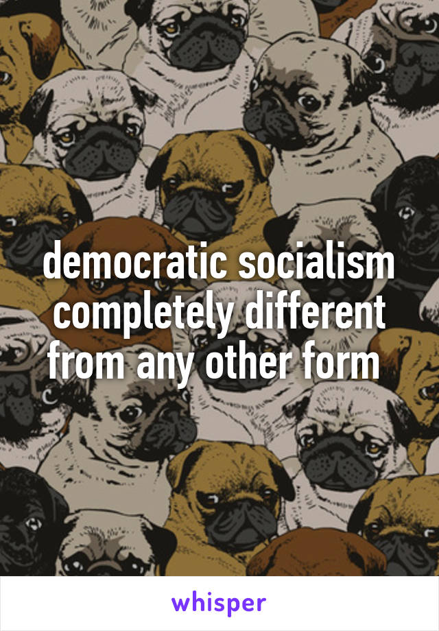 democratic socialism completely different from any other form 