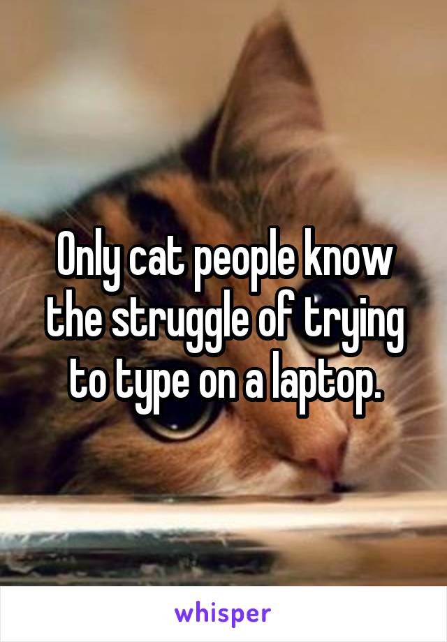 Only cat people know the struggle of trying to type on a laptop.