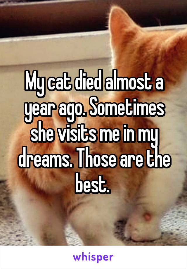 My cat died almost a year ago. Sometimes she visits me in my dreams. Those are the best. 