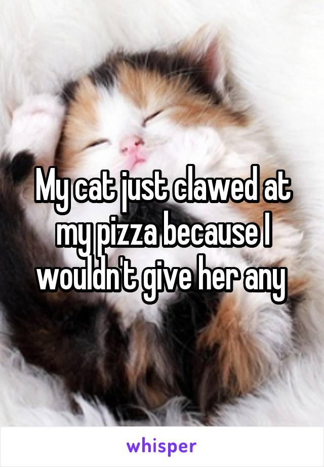 My cat just clawed at my pizza because I wouldn't give her any 