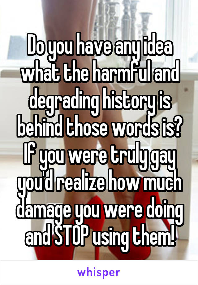 Do you have any idea what the harmful and degrading history is behind those words is? If you were truly gay you'd realize how much damage you were doing and STOP using them!