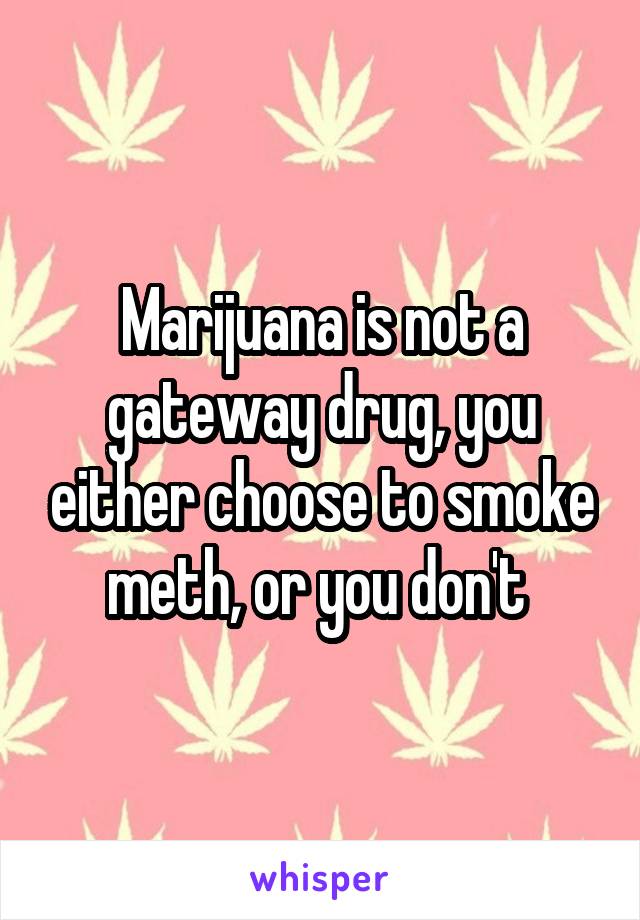 Marijuana is not a gateway drug, you either choose to smoke meth, or you don't 