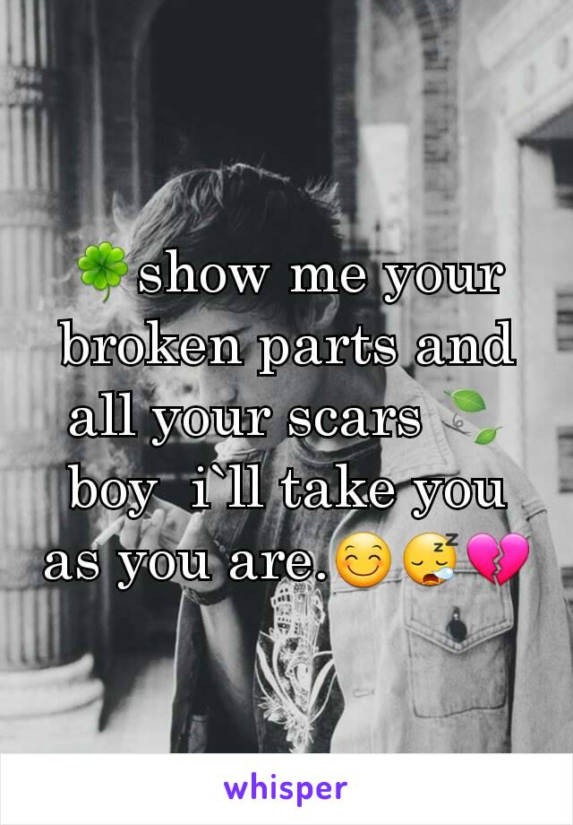 🍀show me your broken parts and all your scars 🍃 boy  i`ll take you as you are.😊😪💔