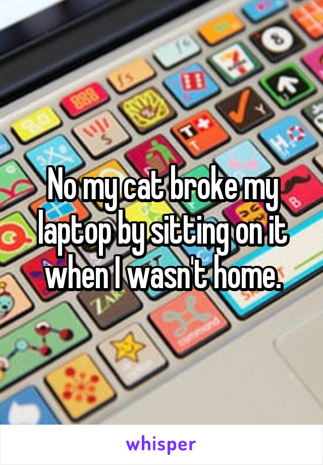 No my cat broke my laptop by sitting on it when I wasn't home.