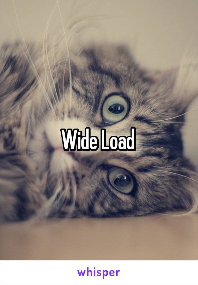 Wide Load 