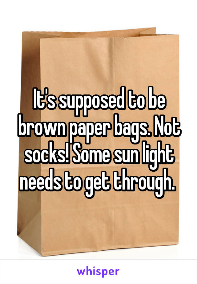 It's supposed to be brown paper bags. Not socks! Some sun light needs to get through. 