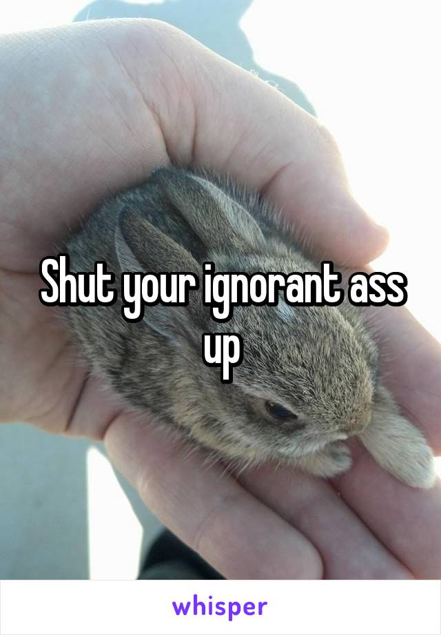 Shut your ignorant ass up