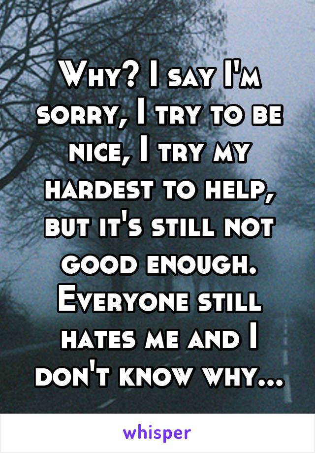 Why? I say I'm sorry, I try to be nice, I try my hardest to help, but it's still not good enough. Everyone still hates me and I don't know why...