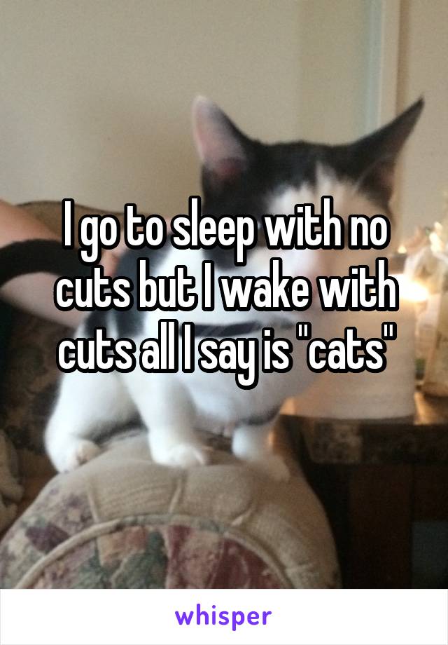 I go to sleep with no cuts but I wake with cuts all I say is "cats"
