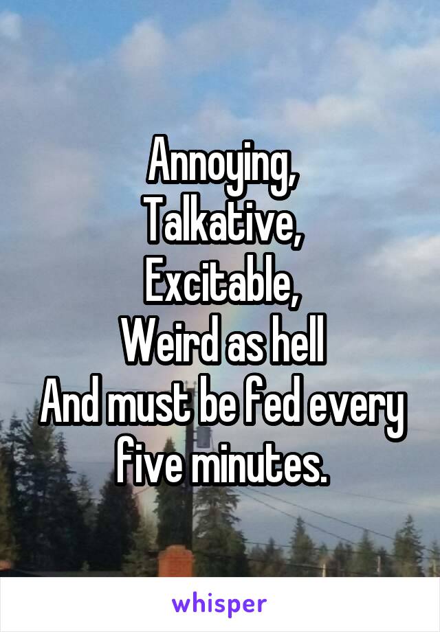 Annoying,
Talkative,
Excitable,
Weird as hell
And must be fed every five minutes.