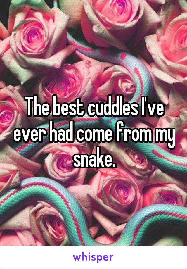 The best cuddles I've ever had come from my snake.