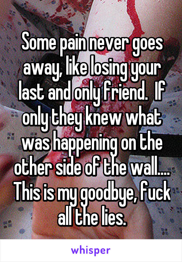 Some pain never goes away, like losing your last and only friend.  If only they knew what was happening on the other side of the wall.... This is my goodbye, fuck all the lies.