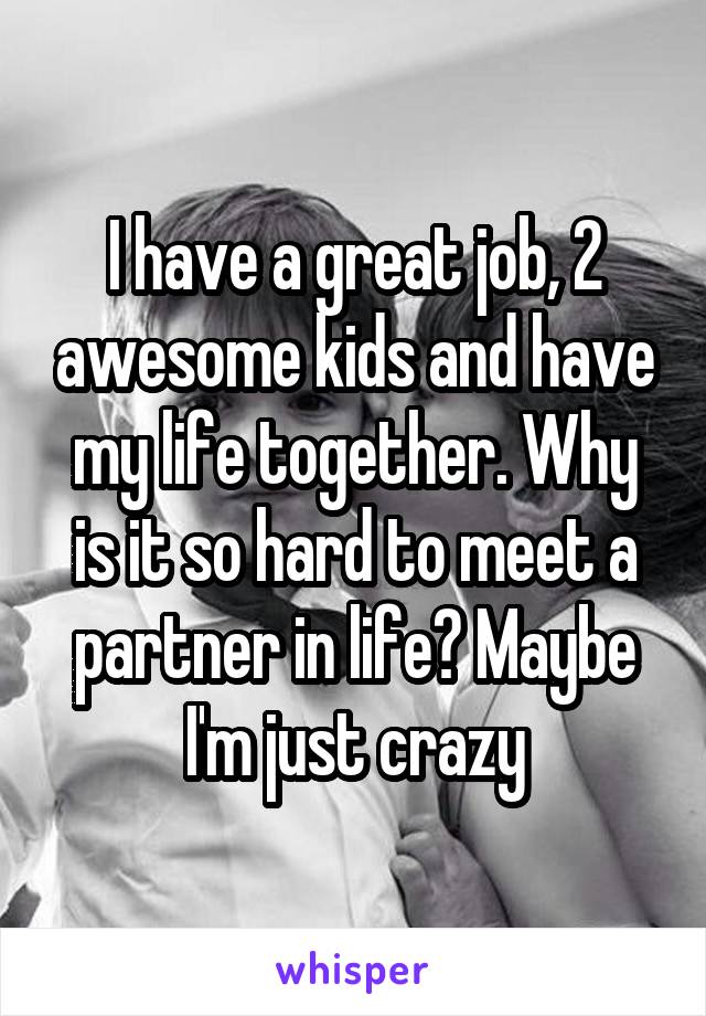 I have a great job, 2 awesome kids and have my life together. Why is it so hard to meet a partner in life? Maybe I'm just crazy