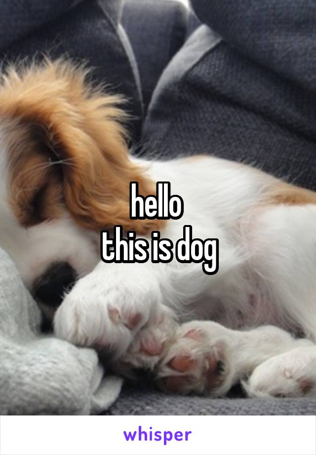 hello 
this is dog