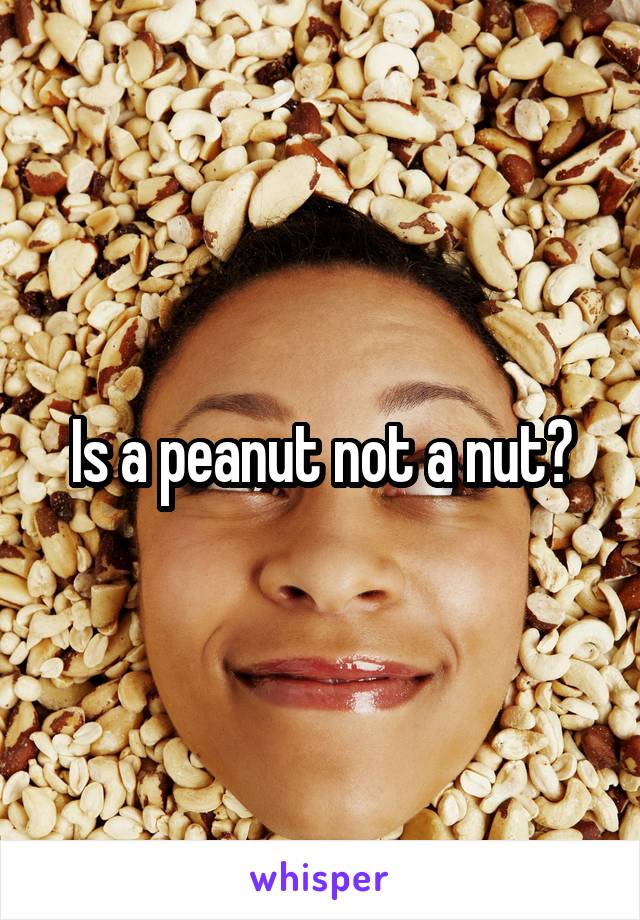 Is a peanut not a nut?