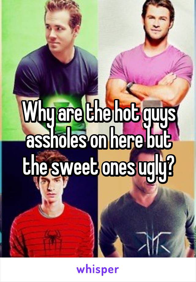 Why are the hot guys assholes on here but the sweet ones ugly?