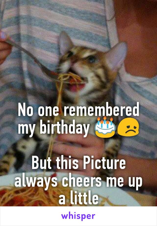 No one remembered my birthday 🎂😞

But this Picture always cheers me up a little