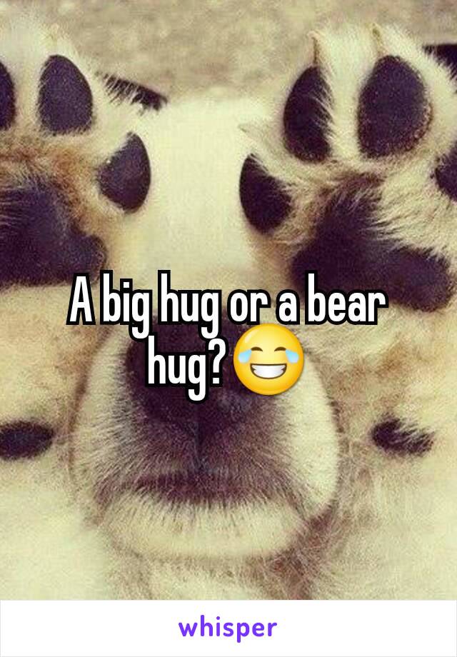 A big hug or a bear hug?😂