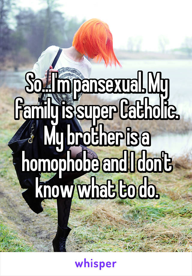 So...I'm pansexual. My family is super Catholic. My brother is a homophobe and I don't know what to do.