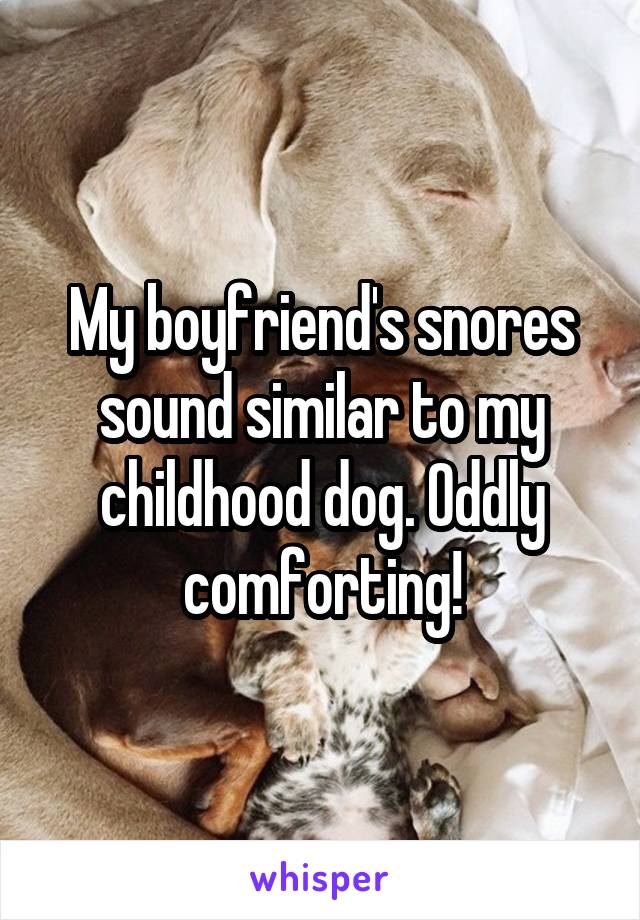 My boyfriend's snores sound similar to my childhood dog. Oddly comforting!