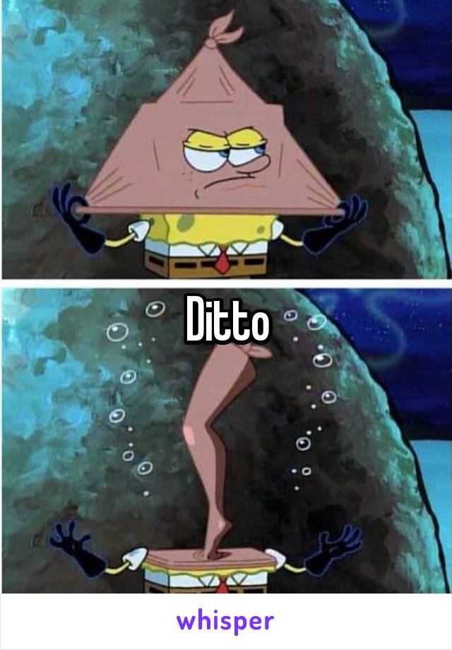 Ditto