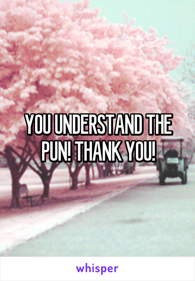 YOU UNDERSTAND THE PUN! THANK YOU!