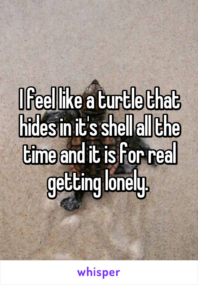 I feel like a turtle that hides in it's shell all the time and it is for real getting lonely. 