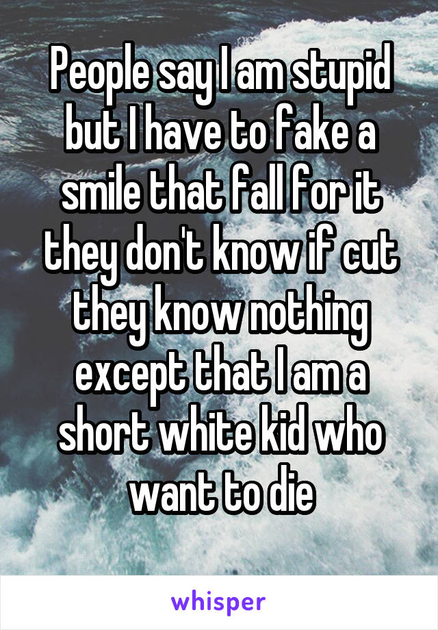 People say I am stupid but I have to fake a smile that fall for it they don't know if cut they know nothing except that I am a short white kid who want to die
