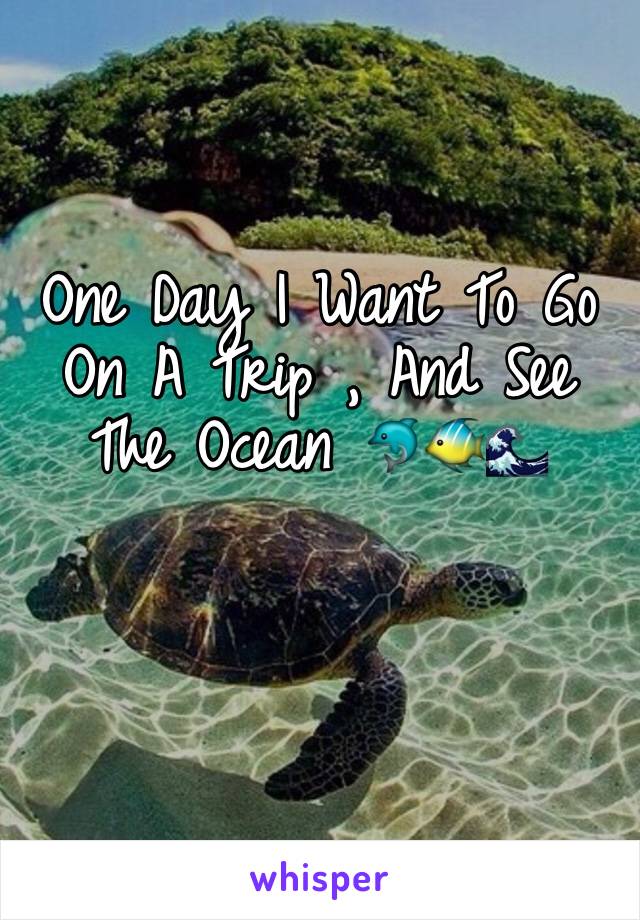 One Day I Want To Go On A Trip , And See The Ocean 🐬🐠🌊