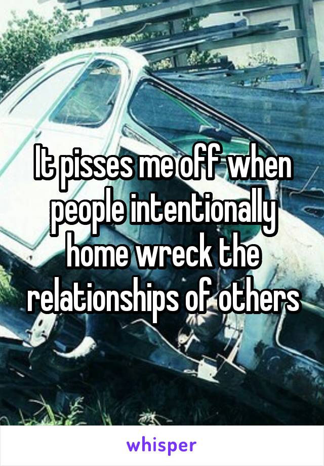 It pisses me off when people intentionally home wreck the relationships of others