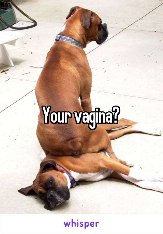 Your vagina? 