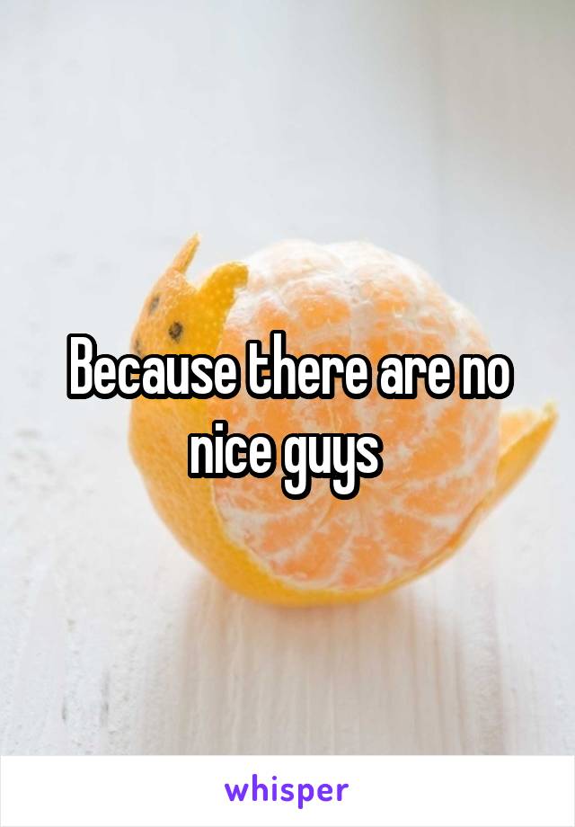 Because there are no nice guys 