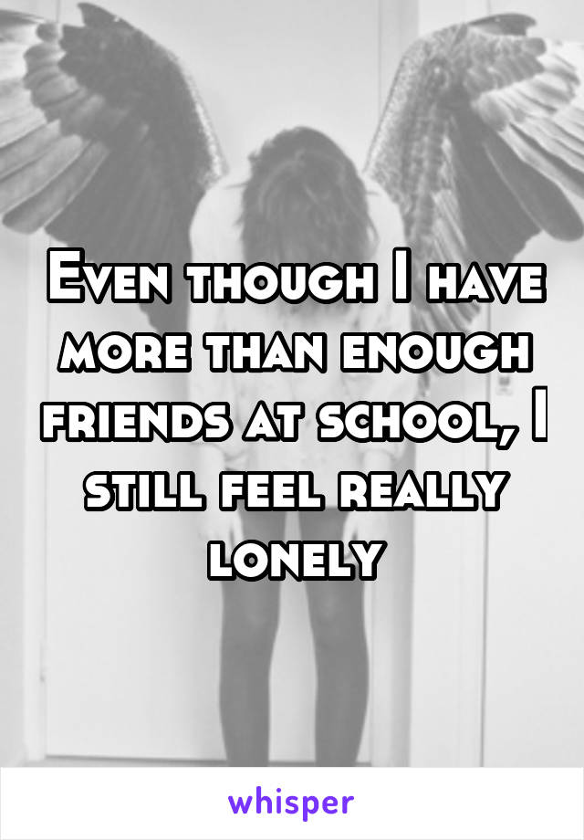 Even though I have more than enough friends at school, I still feel really lonely