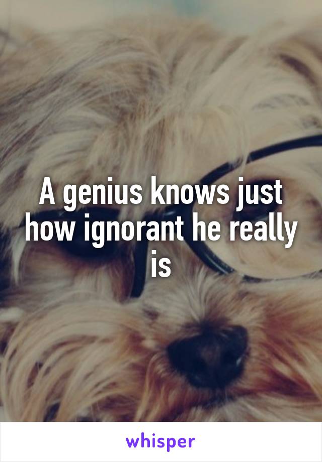 A genius knows just how ignorant he really is