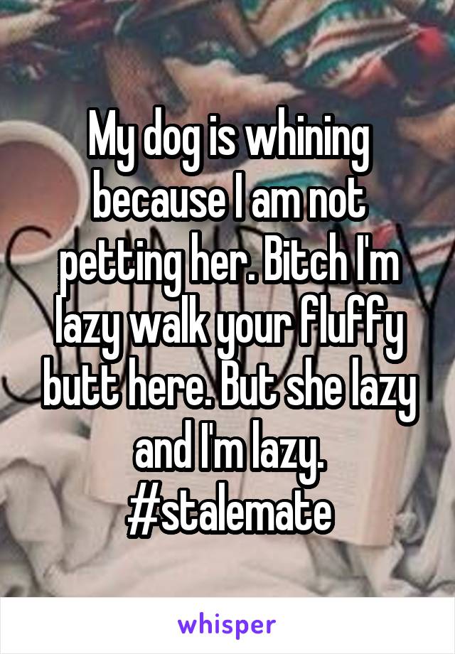 My dog is whining because I am not petting her. Bitch I'm lazy walk your fluffy butt here. But she lazy and I'm lazy. #stalemate