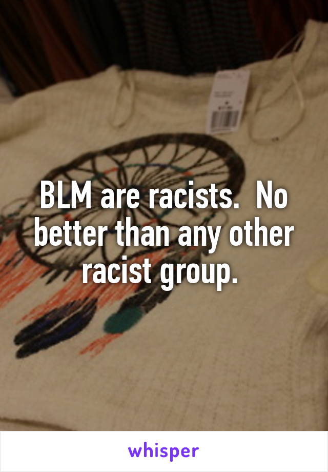 BLM are racists.  No better than any other racist group. 