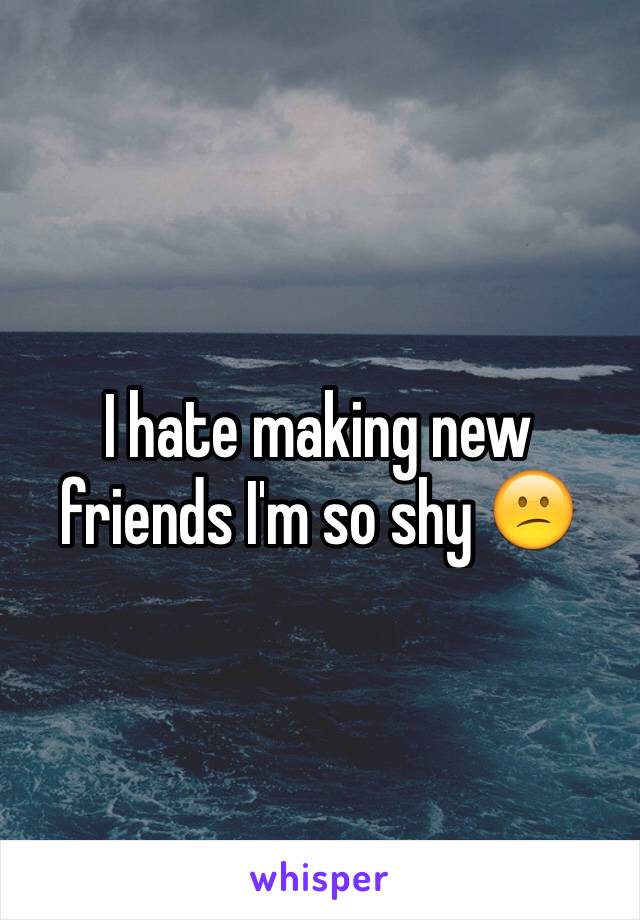 I hate making new friends I'm so shy 😕