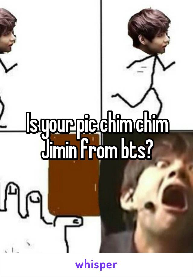 Is your pic chim chim Jimin from bts?