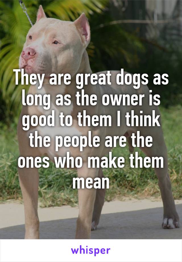 They are great dogs as long as the owner is good to them I think the people are the ones who make them mean
