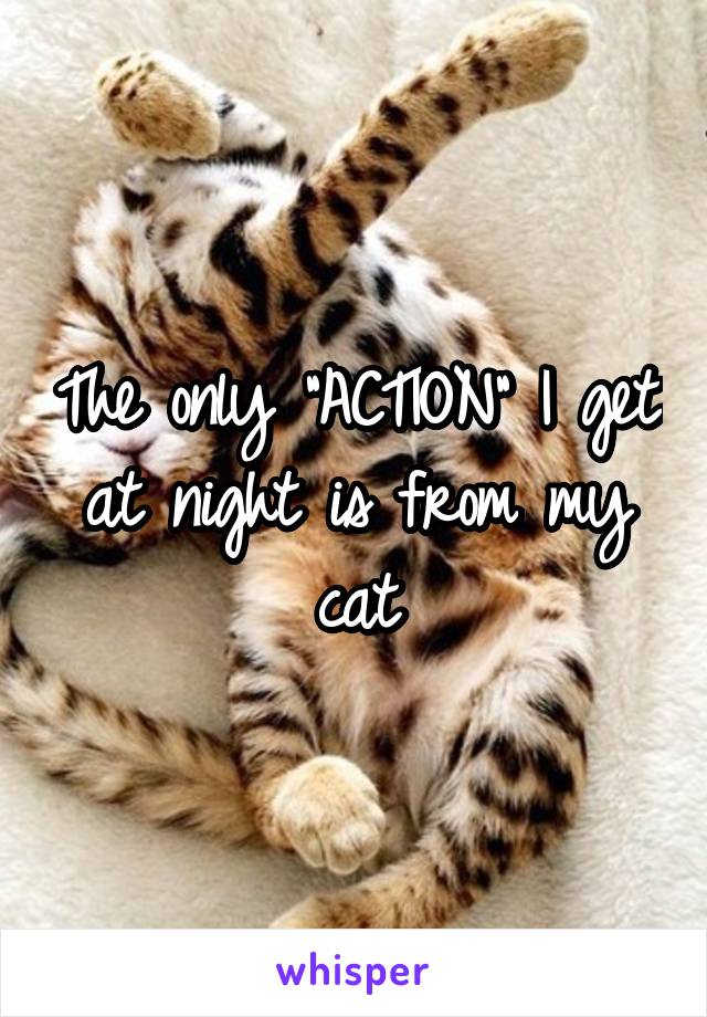 The only "ACTION" I get at night is from my cat