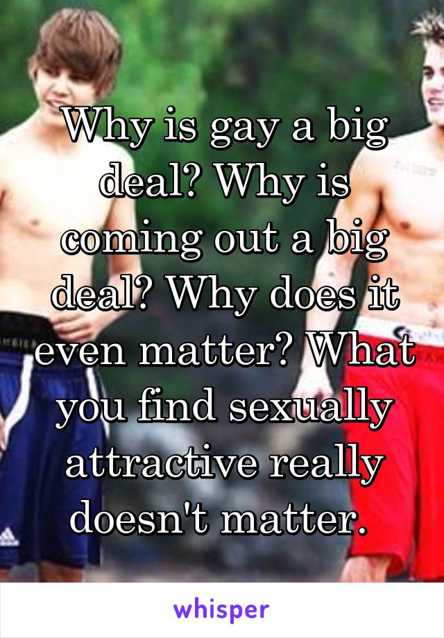 Why is gay a big deal? Why is coming out a big deal? Why does it even matter? What you find sexually attractive really doesn't matter. 