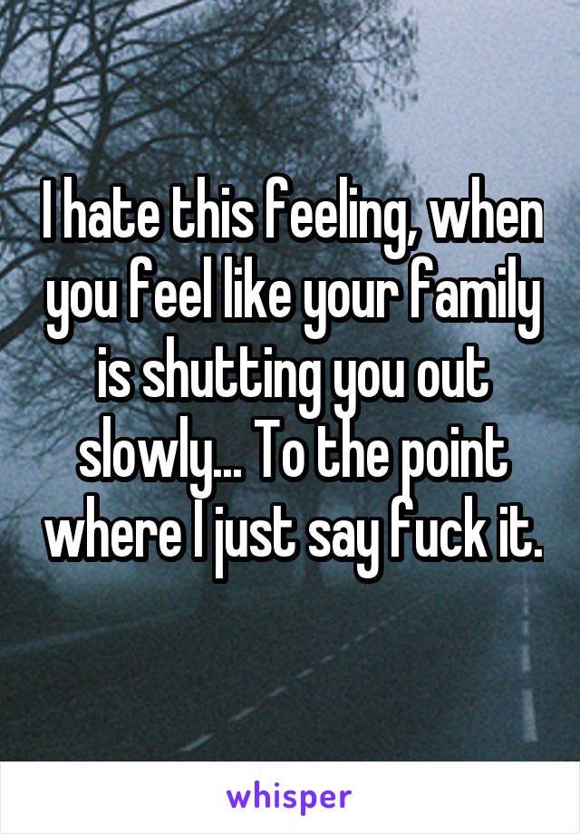 I hate this feeling, when you feel like your family is shutting you out slowly... To the point where I just say fuck it. 