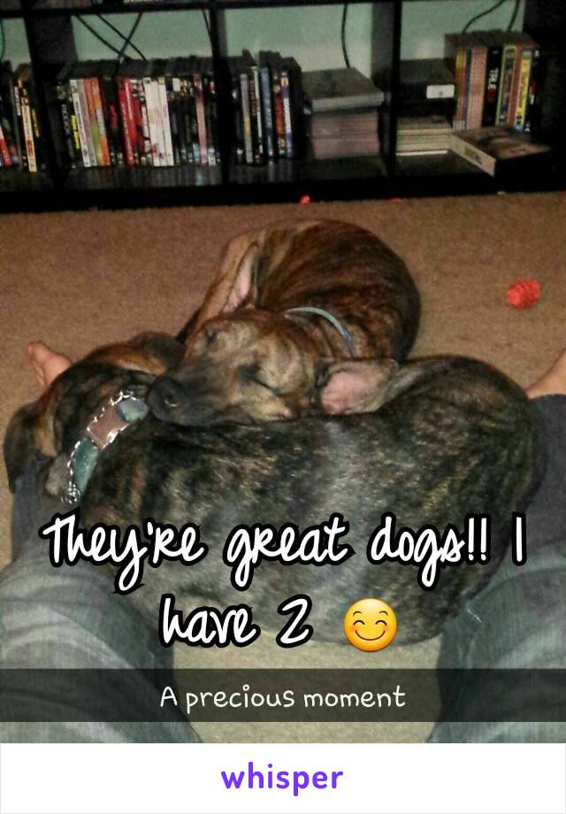 They're great dogs!! I have 2 😊