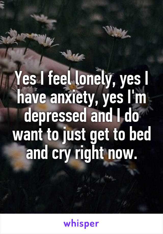 Yes I feel lonely, yes I have anxiety, yes I'm depressed and I do want to just get to bed and cry right now.